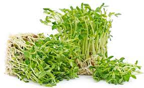 PEA SHOOTS SPROUTS PACK