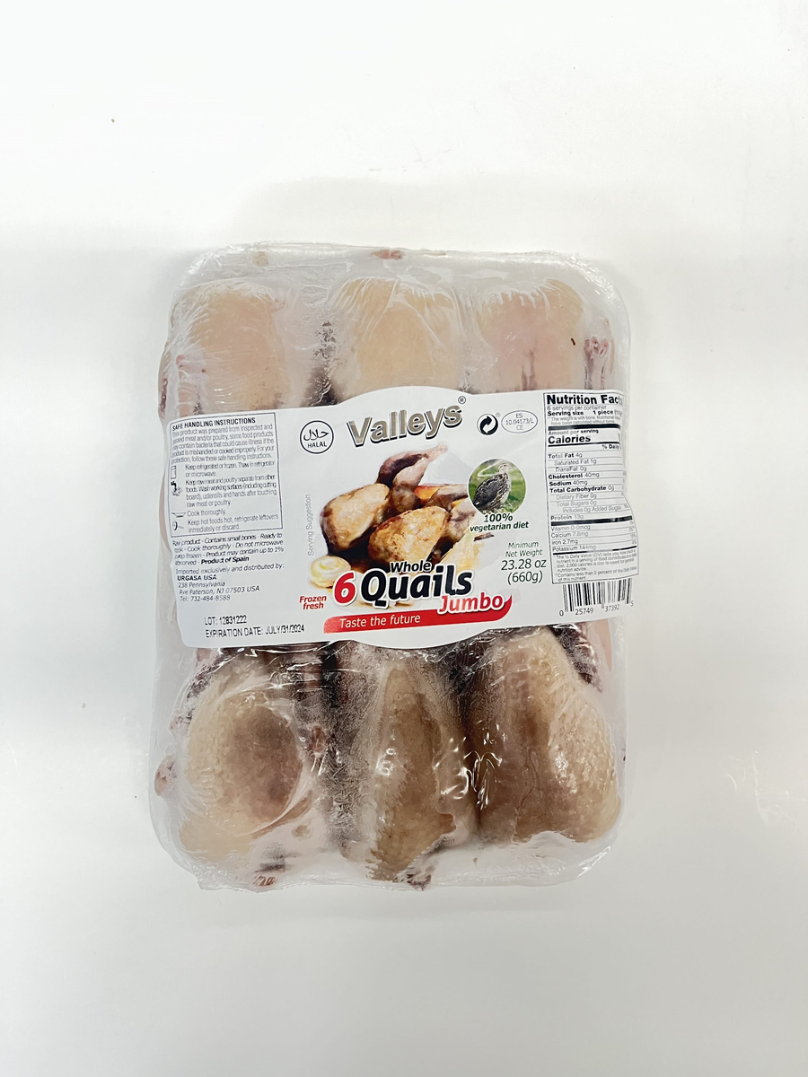 JUMBO QUAILS