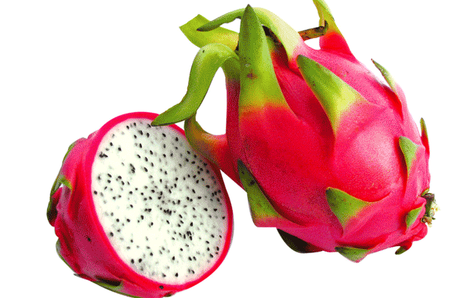 DRAGON FRUIT RED