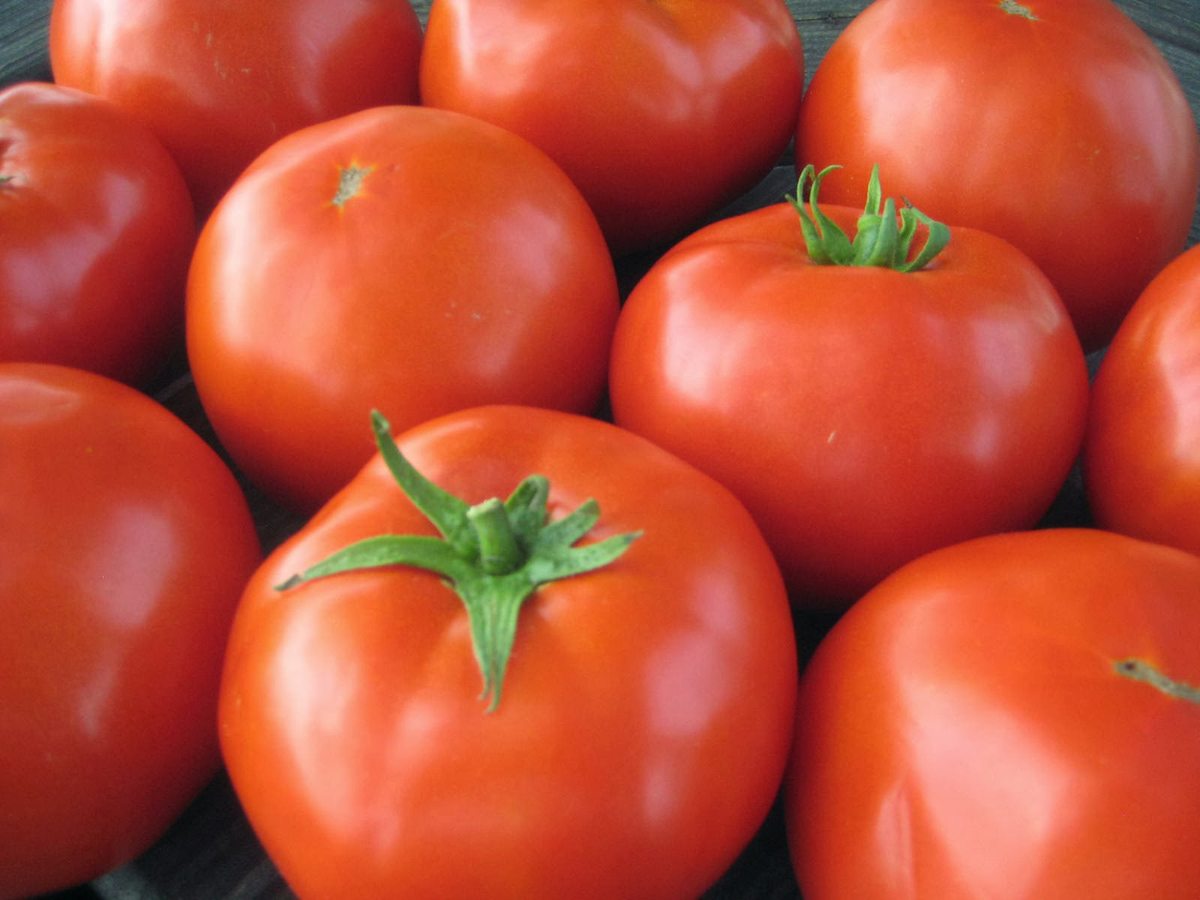 TOMATO BEEF STEAK