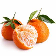 ORANGE SATSUMA