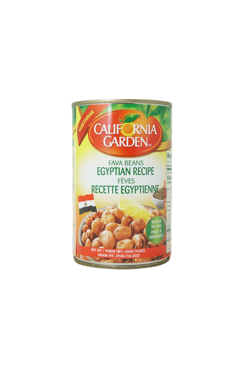 FAVA BEANS FOUL EGYPTIAN RECIPE
