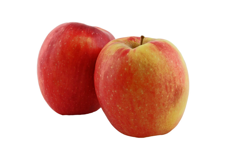 APPLE AMBROSIA