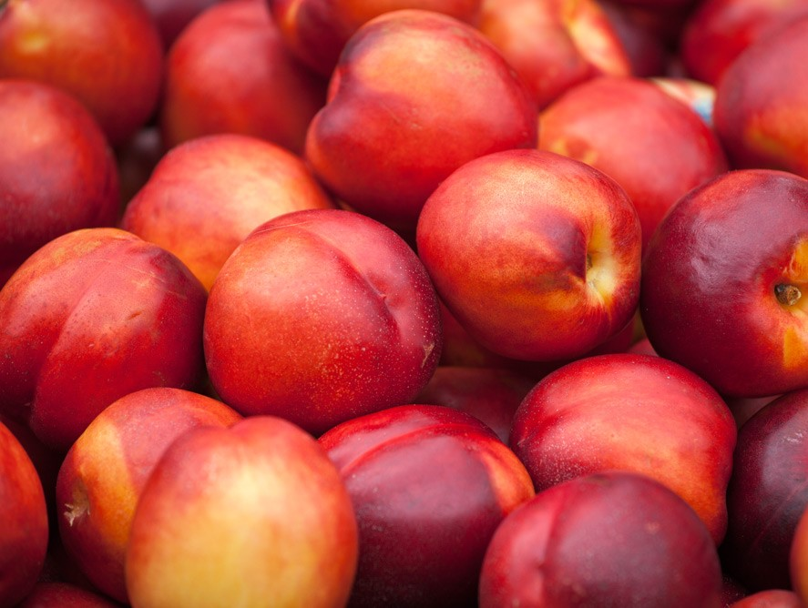 NECTARINE LARGE