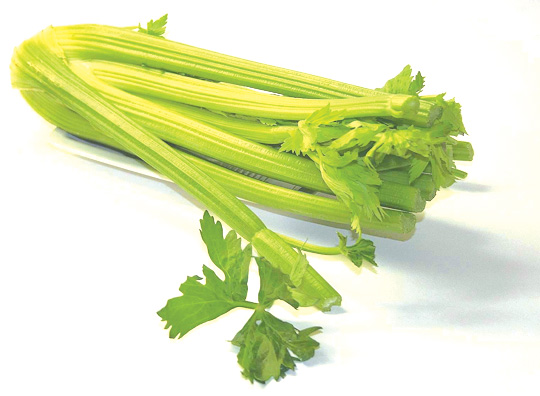 CELERY STALK