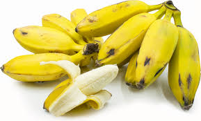 BANANAS BURRO 