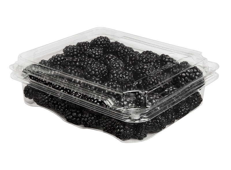 BLACKBERRY PACK
