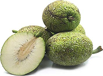 BREADFRUIT PANAPEN
