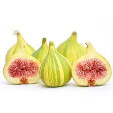 FIG TIGER