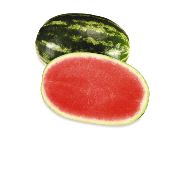 WATERMELON SEEDLESS MEDIUM