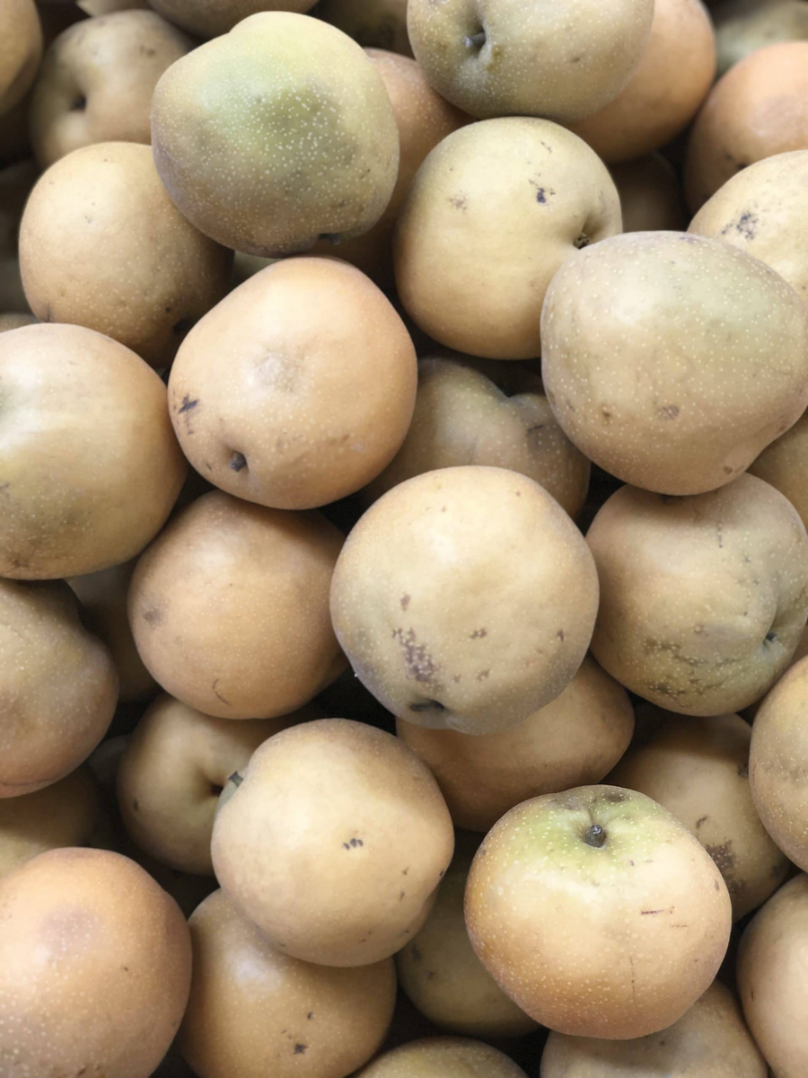 PEARS ASIAN LARGE