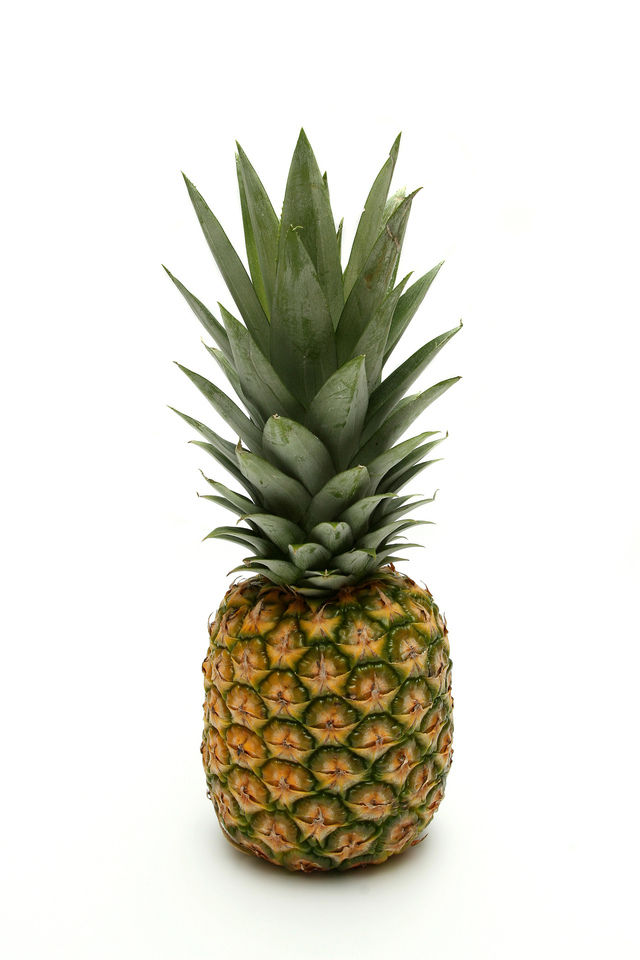PINEAPPLE LARGE