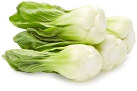 BOK CHOY