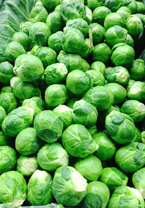 BRUSSEL SPROUT