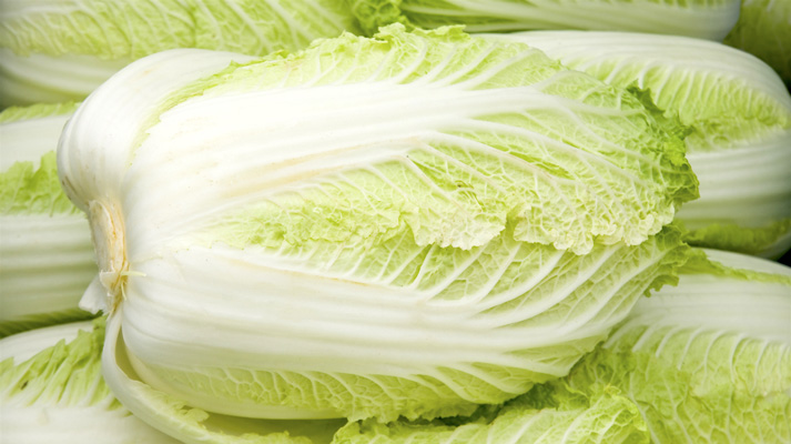 CABBAGE NAPA