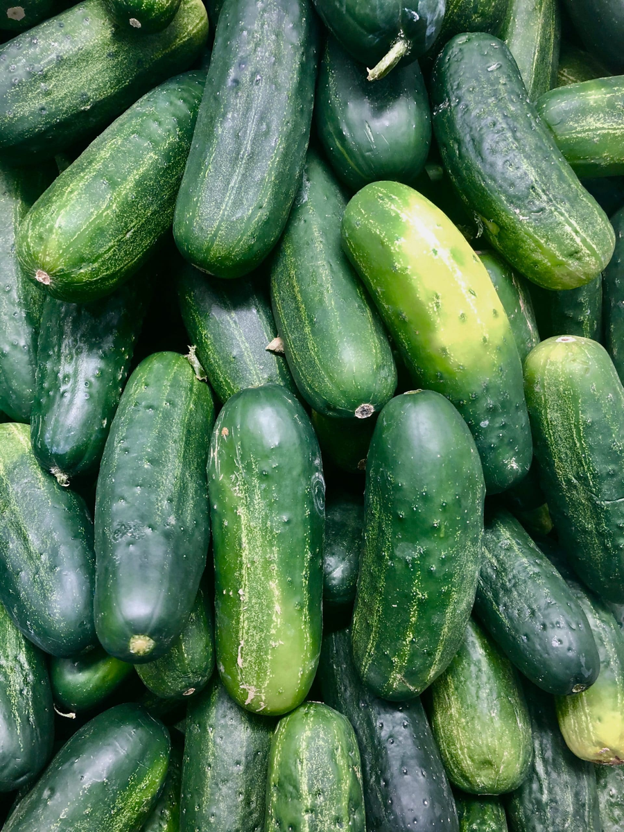 CUCUMBER PICKLE