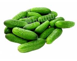 CUCUMBER RUSSIAN  per/LB