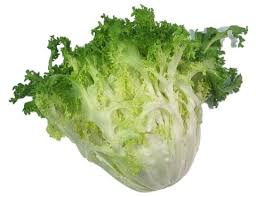 ENDIVE
