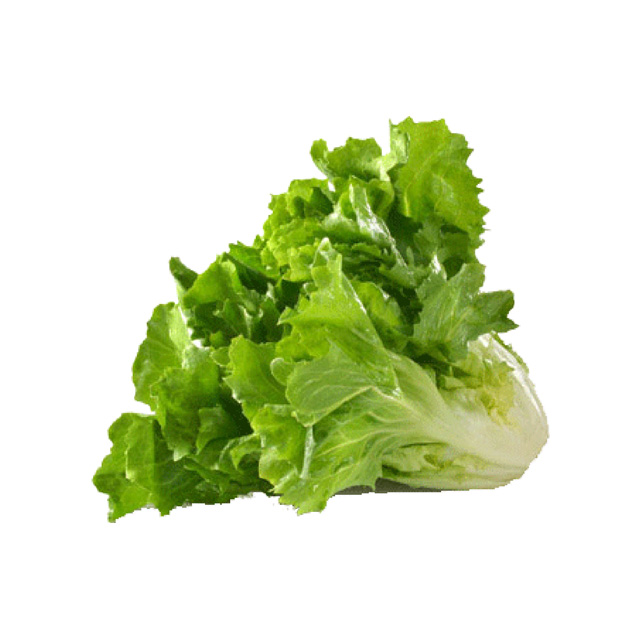 ESCAROLE
