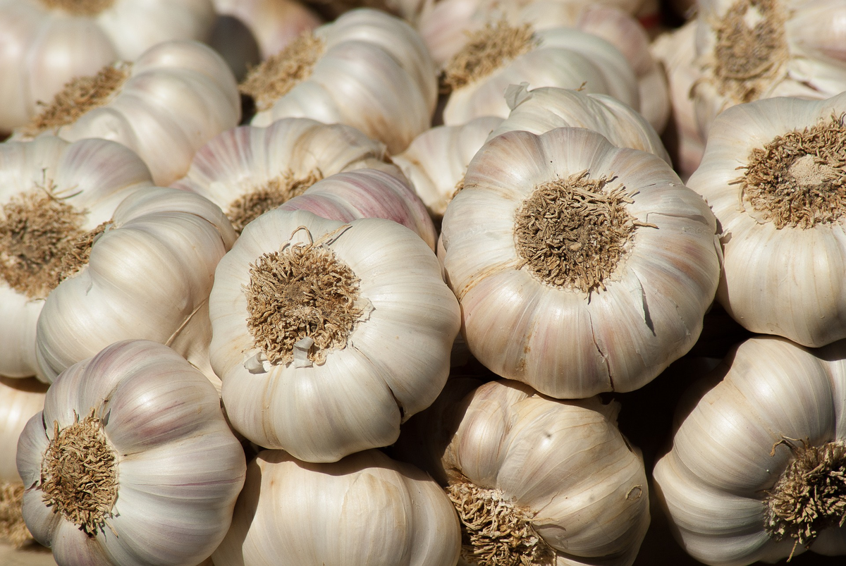 GARLIC LOOSE