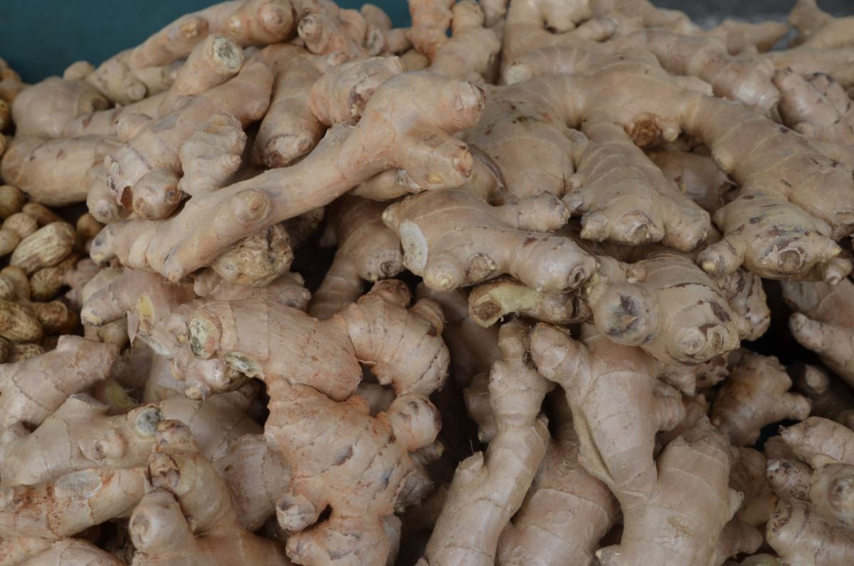 GINGER ROOT