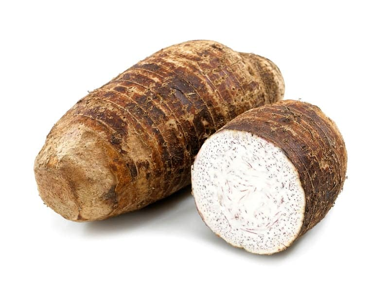 ROOT MALANGA COCO