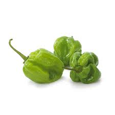 PEPPER HABANERO HOT GREEN