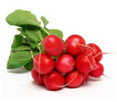 RADISH