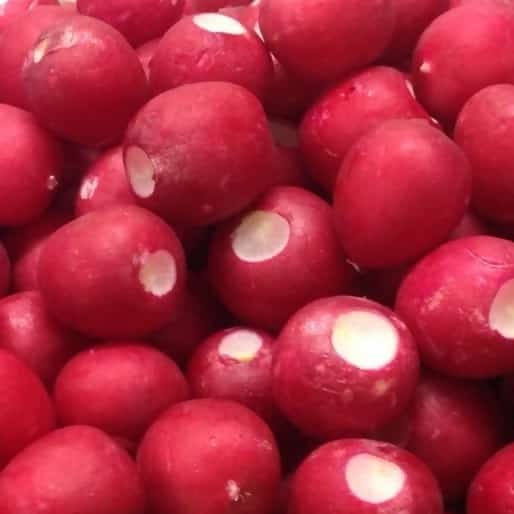 RADISH LOOSE