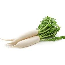 RADISH WHITE DAIKON