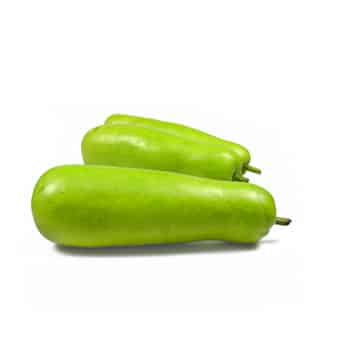 SQUASH LONG