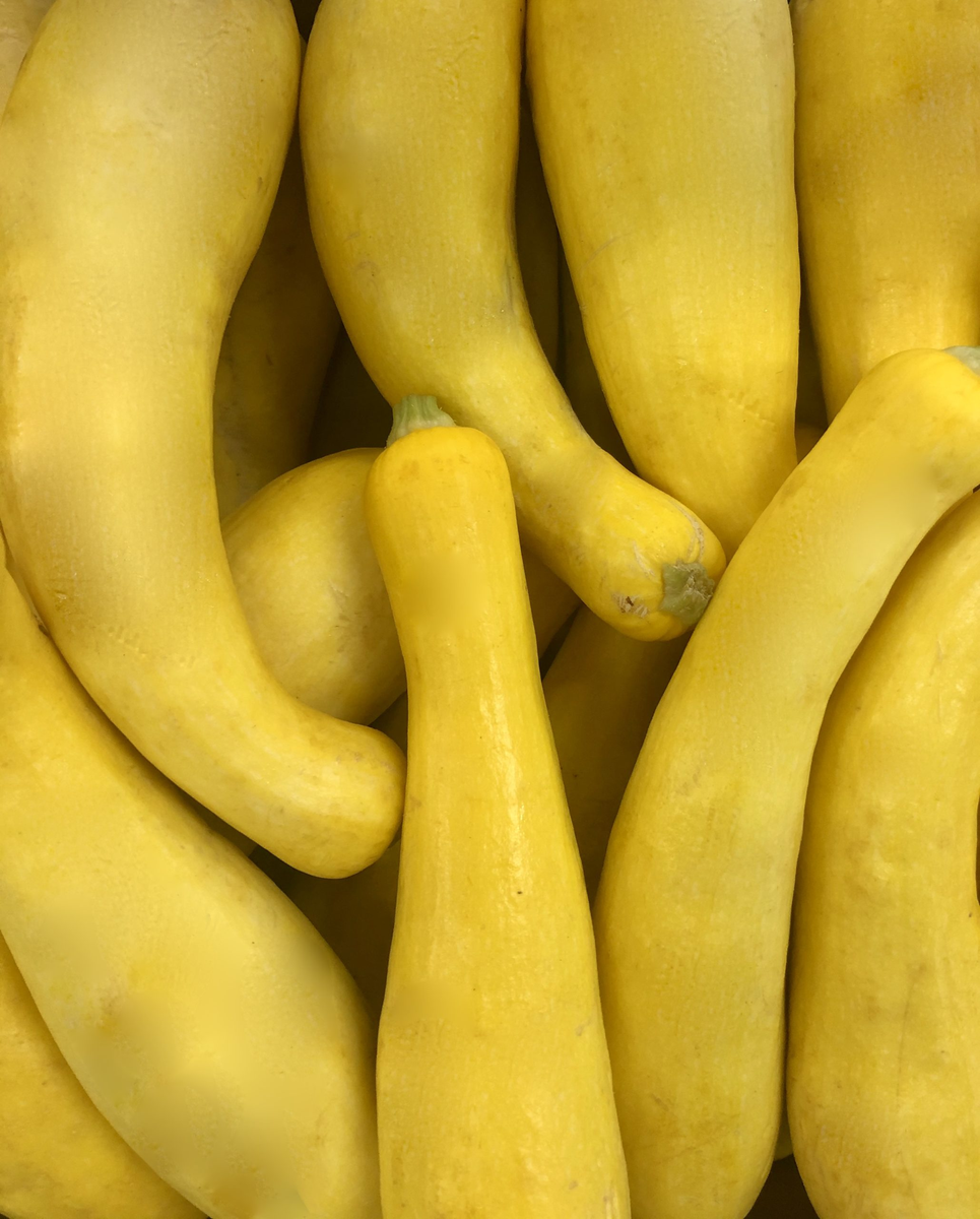SQUASH YELLOW
