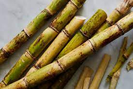 SUGAR CANE LONG