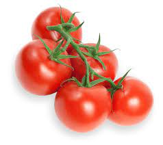 TOMATO VINE RIPE