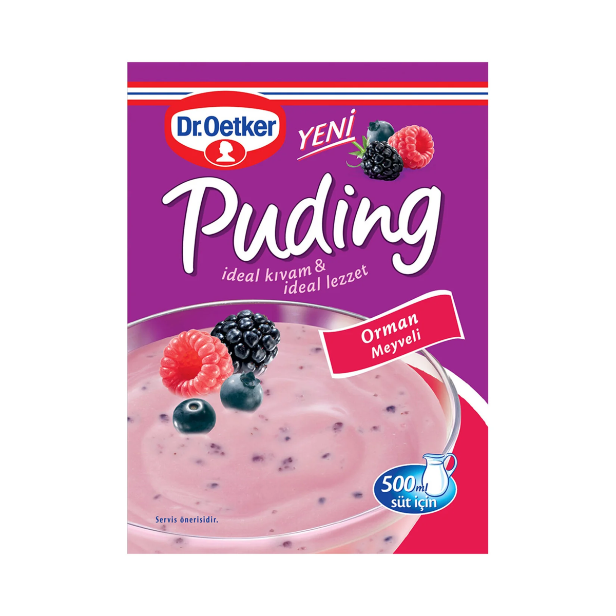 PUDDING FORREST FRUIT