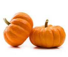PUMPKIN ORANGE MINI SMALL WIC APPROVED