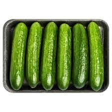 CUCUMBER SEEDLESS  ENGLISH