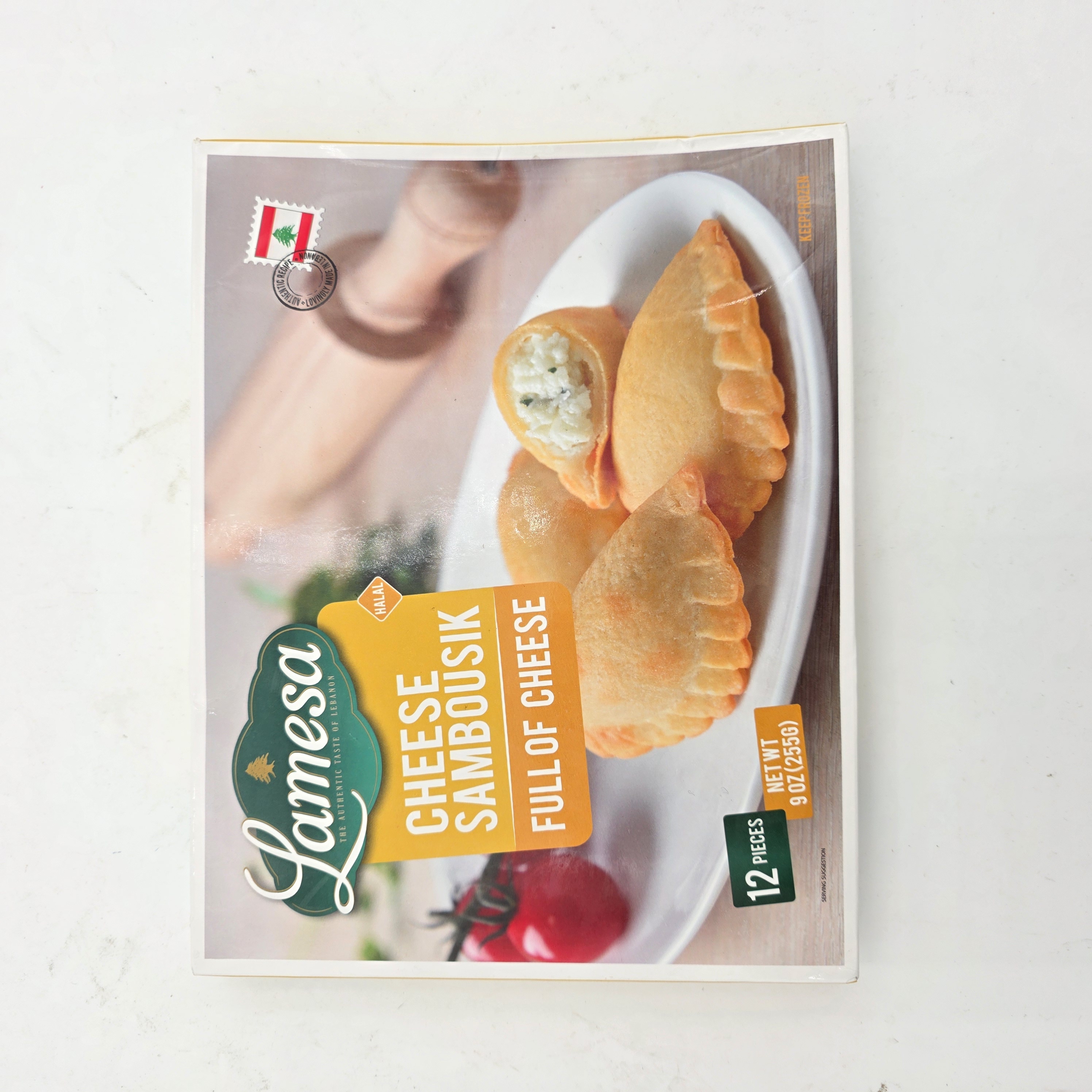 SAMBOUSIK WITH CHEESE